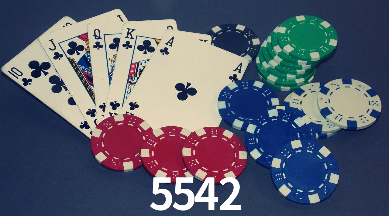 Experiência VIP 5542